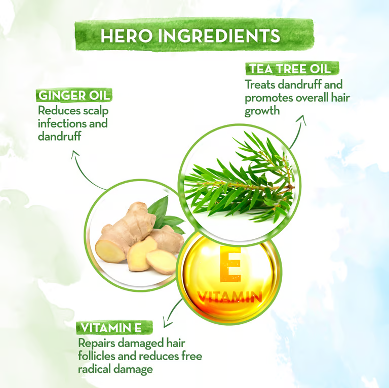 Mamaearth tea tree shampoo hero ingredients