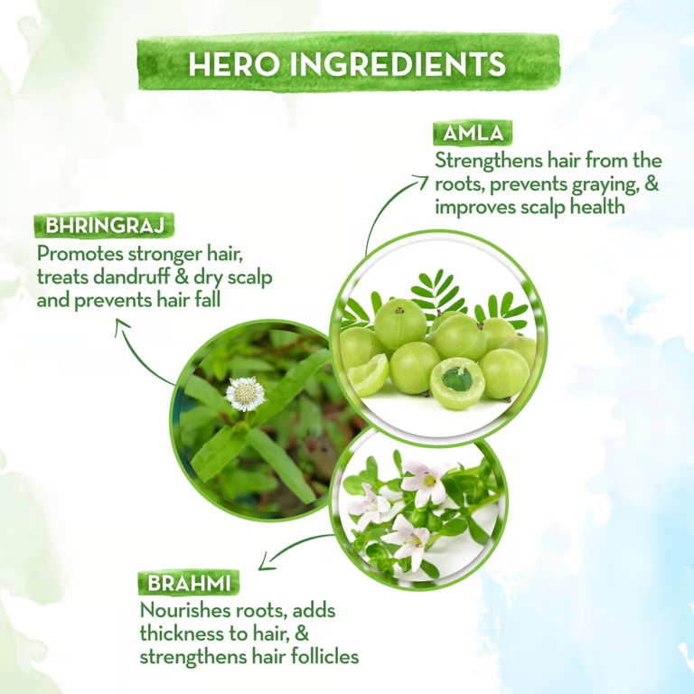 Mamaearth BhringAmla hair oil hero ingredients