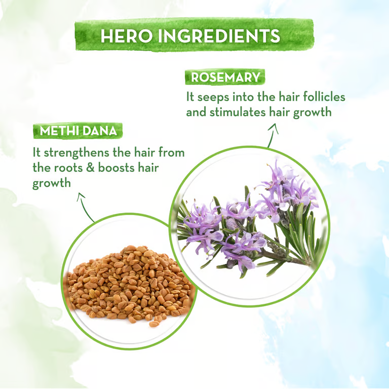 Rosemary Hair Care Kit hero ingredients