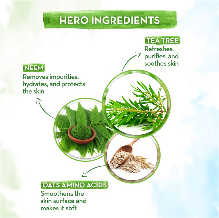 Mamaearth tea tree body wash hero ingredients