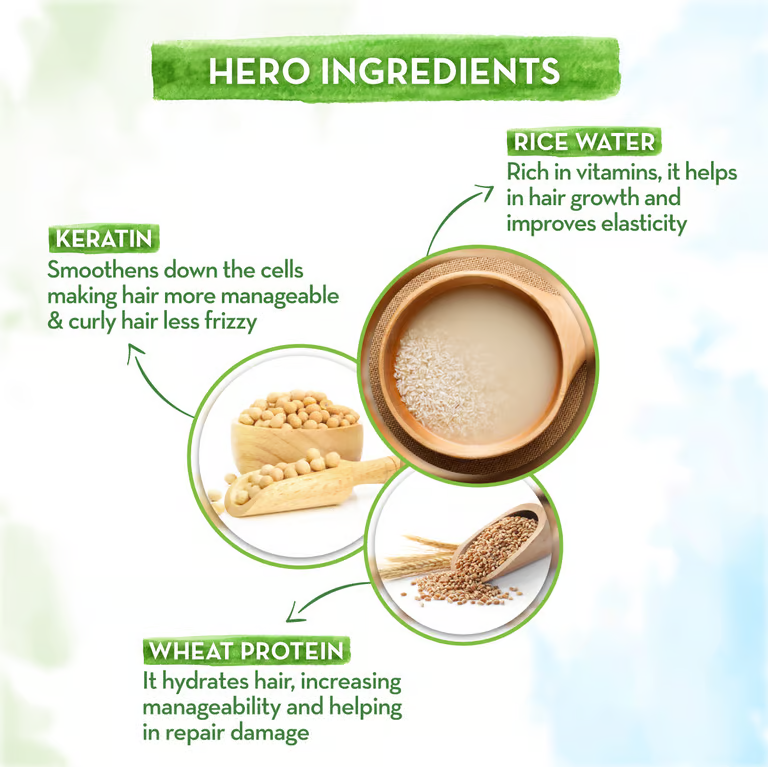 Mamaearth rice water shampoo hero ingredients