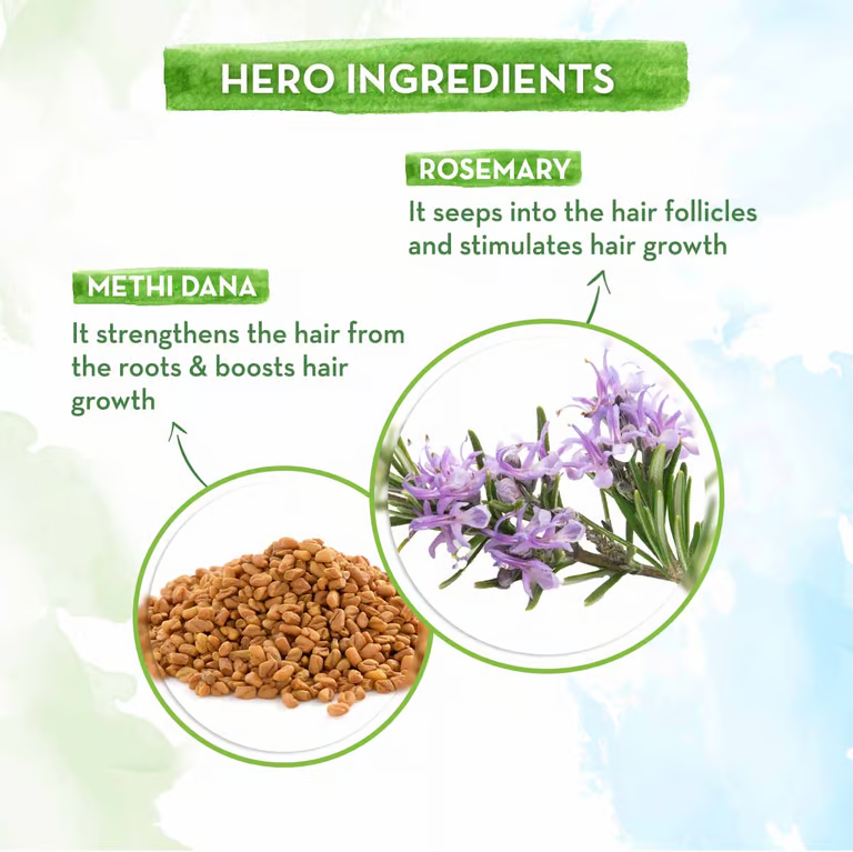 Rosemary Anti-Hair Fall Combo hero ingredients