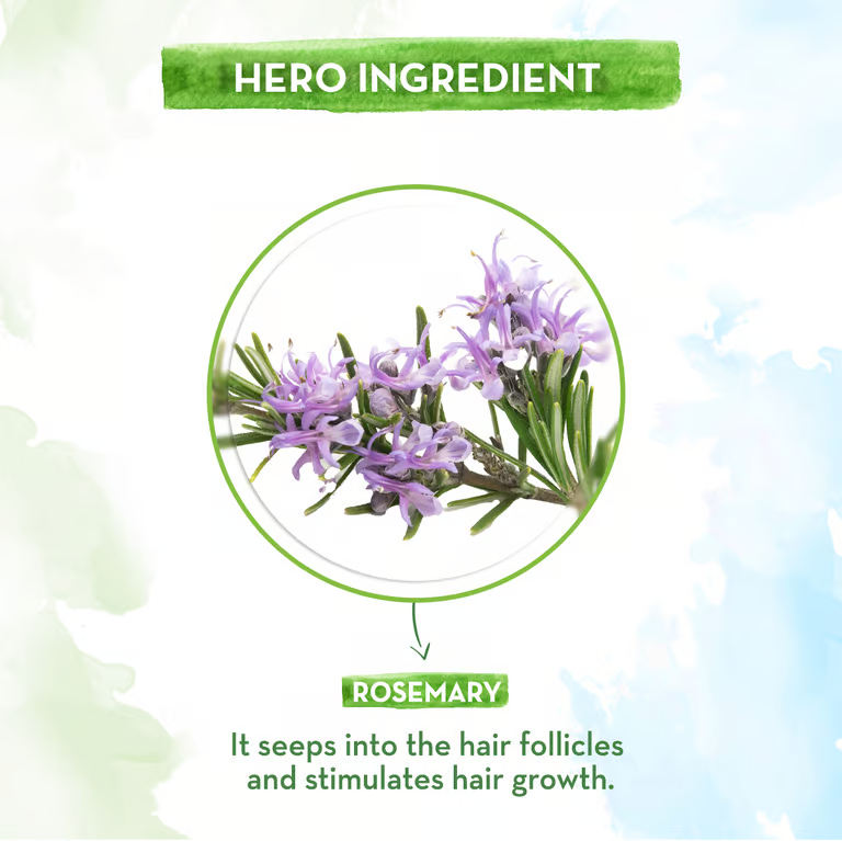 Rosemary Essential Oil for Hair Growth hero ingredients